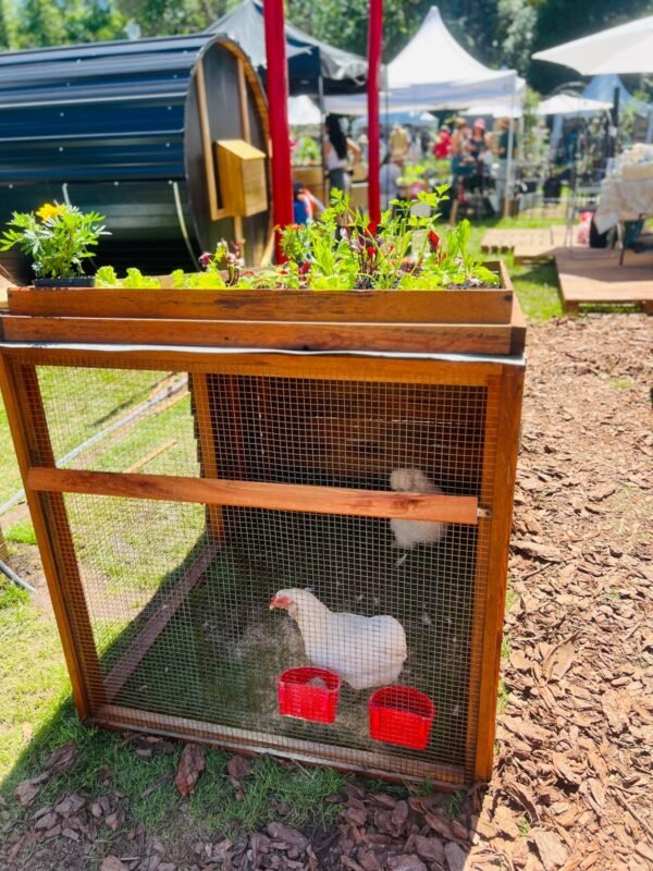 Gallinero Huerta