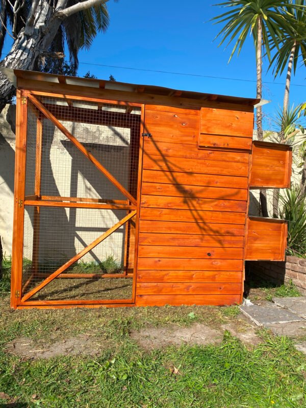 Double Nest Chicken Coop