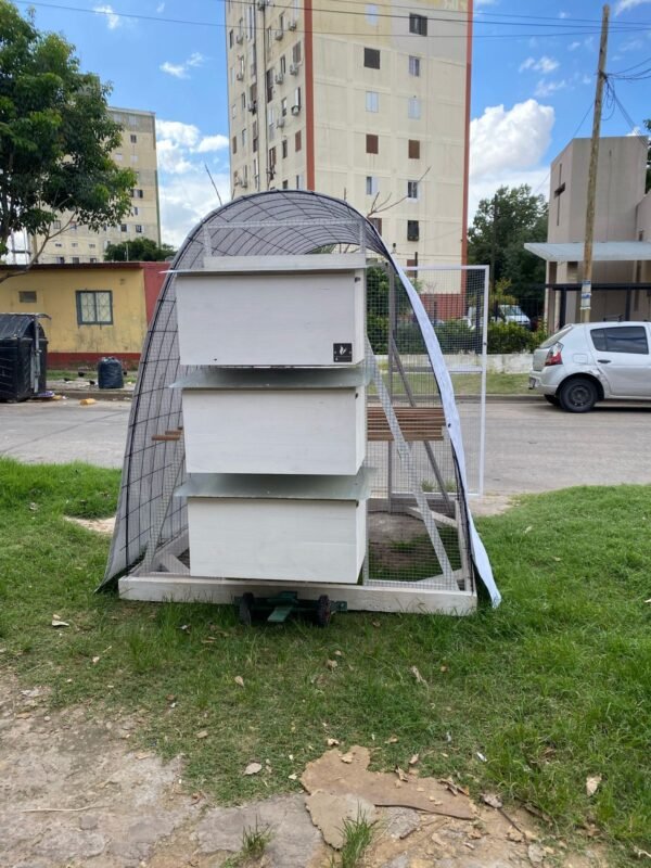 Gallinero tractor - Image 2