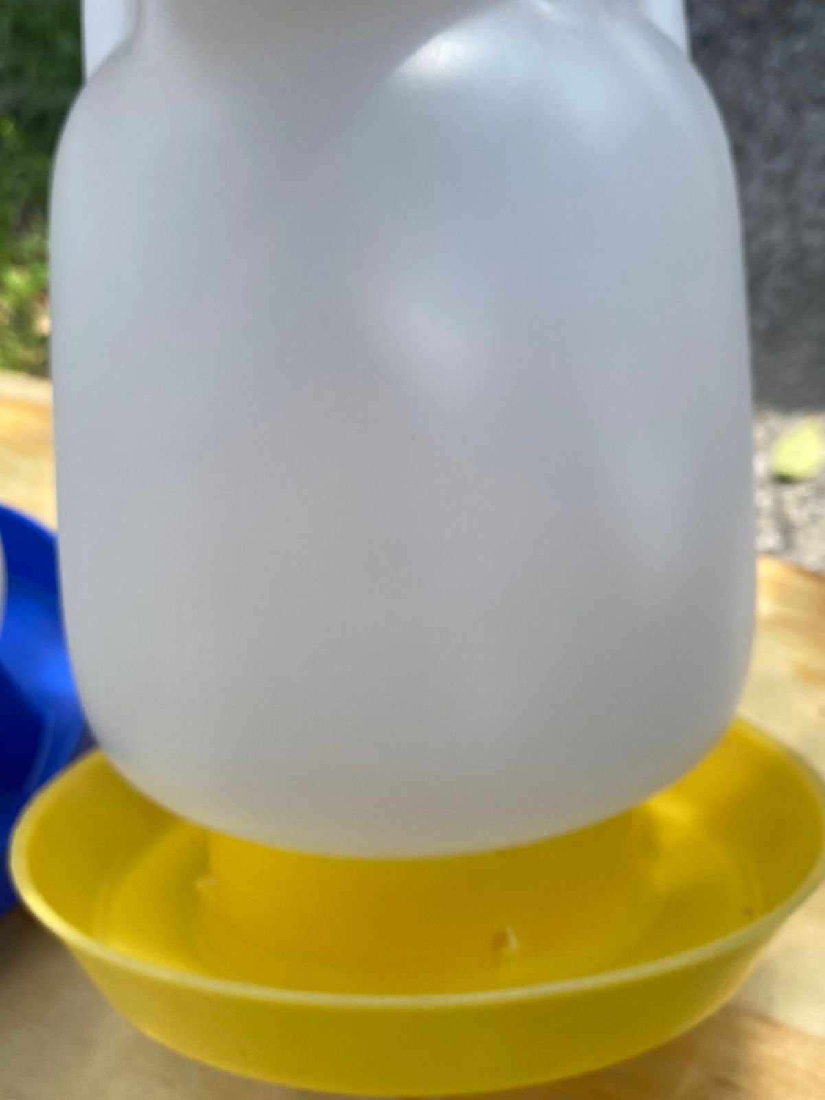 bebedero de 3 litros - Image 2