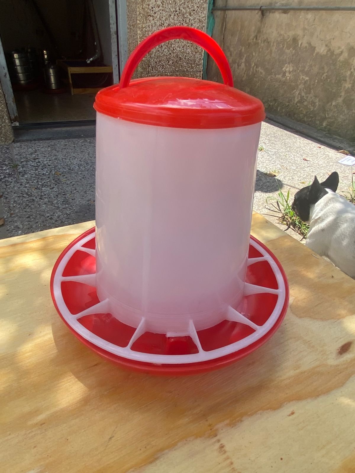 Comedero plástico tolva de 3 kilos - Image 2