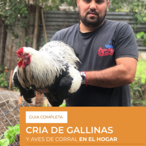Guía completa para cría de gallinas y aves de corral en el hogar