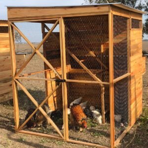 Gallinero modular para familia x 4