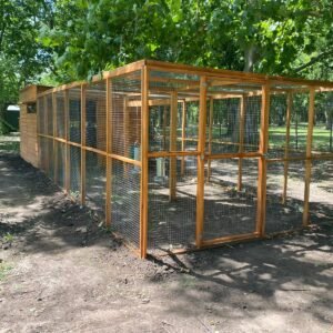 Gallinero Modular para produccion de huevos - modelo emprendedor