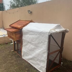 Gallinero Modular Elevado - Gallinas de Raza