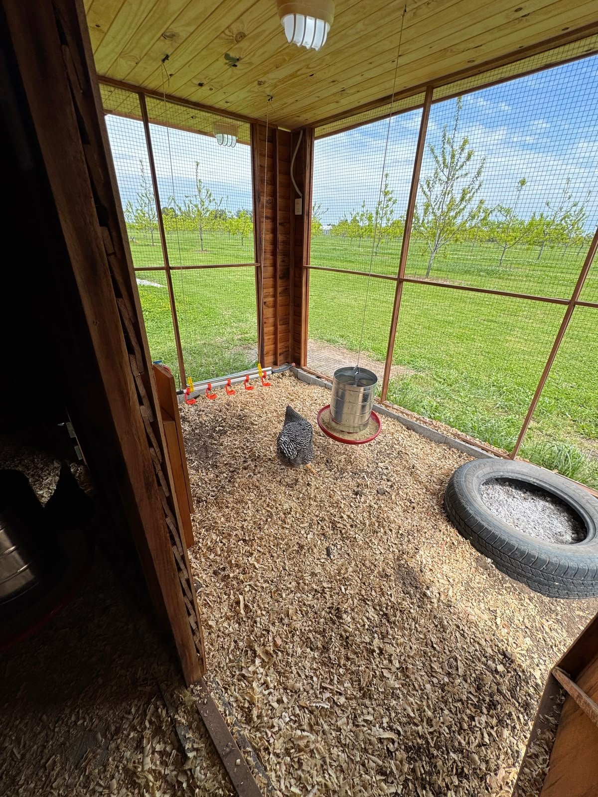 Gallinero Modular Premium 6 × 4 m – 24 m² - Imagen 3