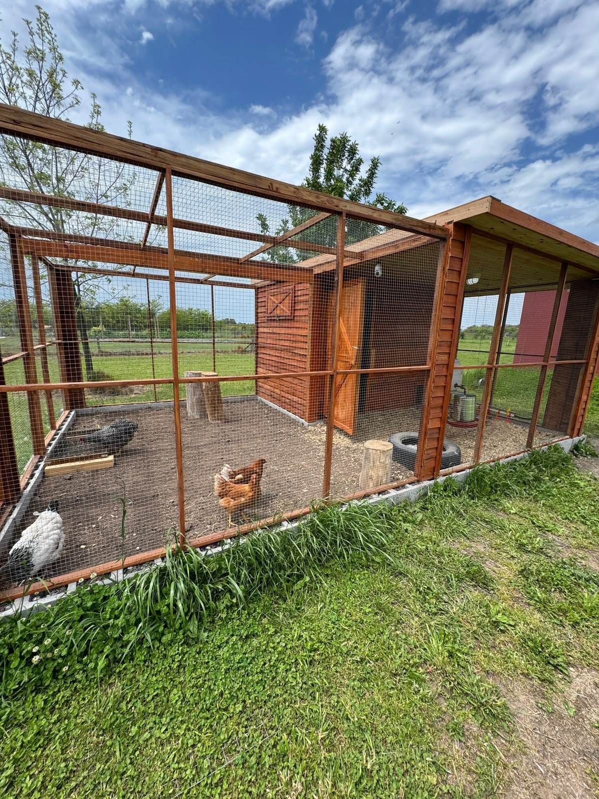 Gallinero Modular Premium 6 × 4 m – 24 m² - Imagen 5