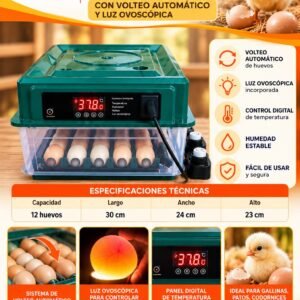 incubadora cuadrada automatica de 12 huevos